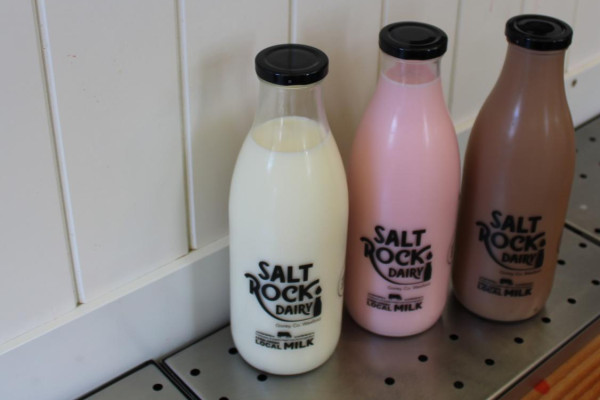 Salt Rock Dairy milk, strawberry milk and chocolate milk
