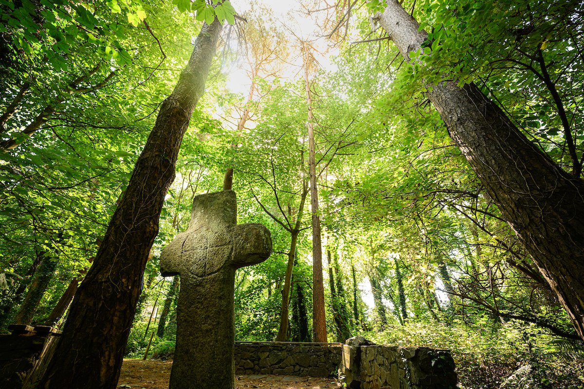 Forest with stone cross