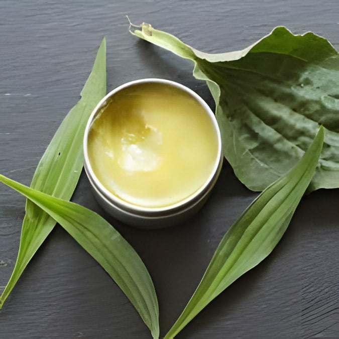 Plantain Slave in container surrounded by Plantain leaves