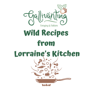 Lorraines Favourite Wild Recipes