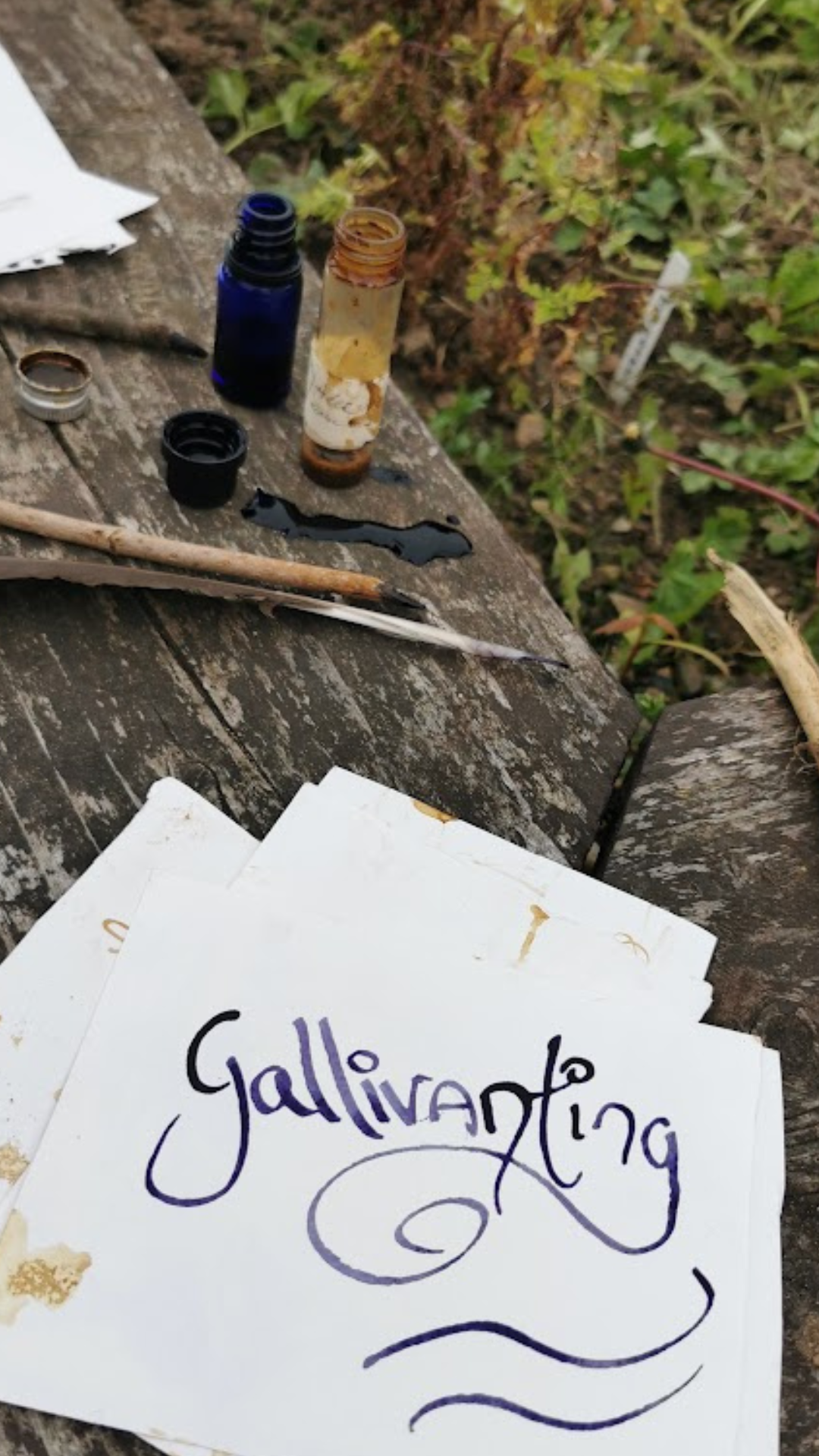 Peaceful Irish woodland trail explored during Gallivanting foraging and folklore walks