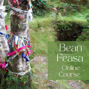 Bean Feasa Course