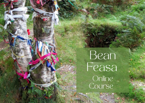 Weaving a Samhain Parshell Cross