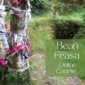 Weaving a Samhain Parshell Cross